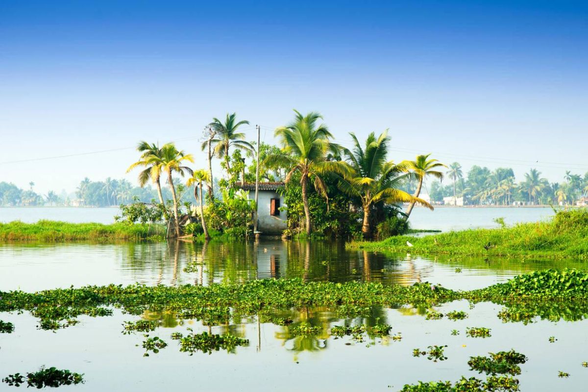 A hut in middle of backwaters 