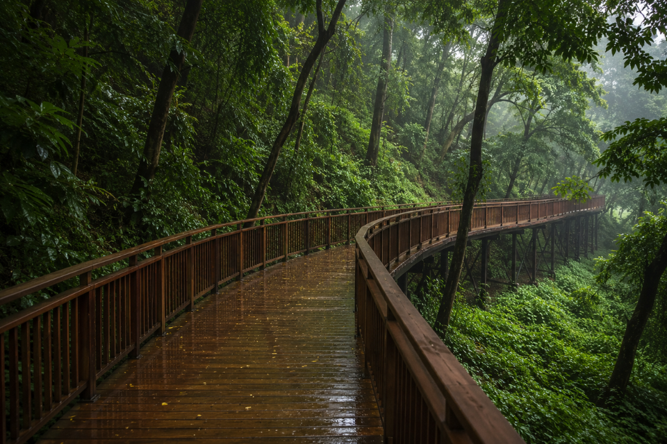 Take a walk along the Malabar Hill Elevated Nature Trail