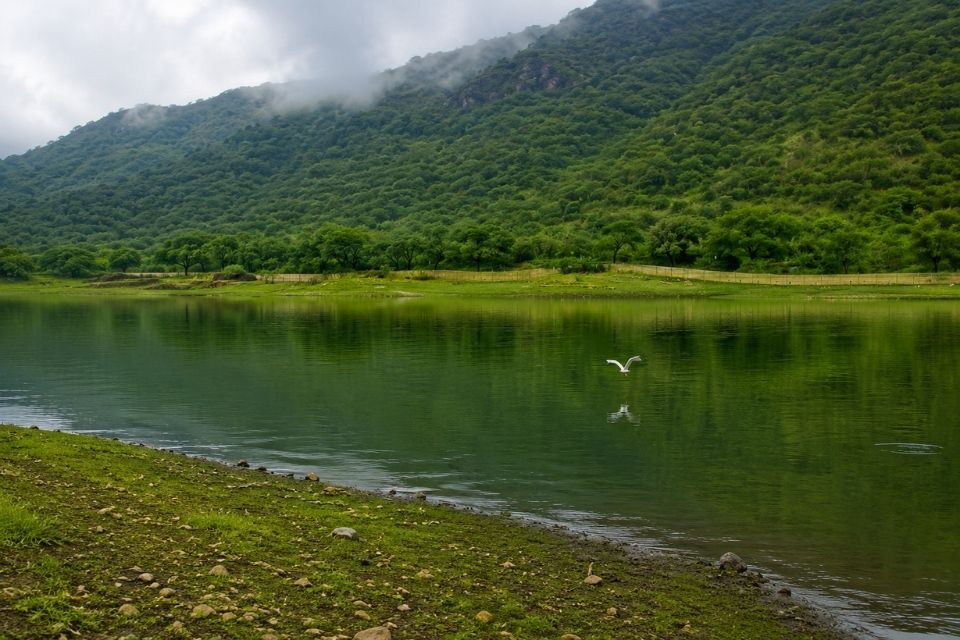 Badi Lake near Udaipur surrounded by green hills during monsoon